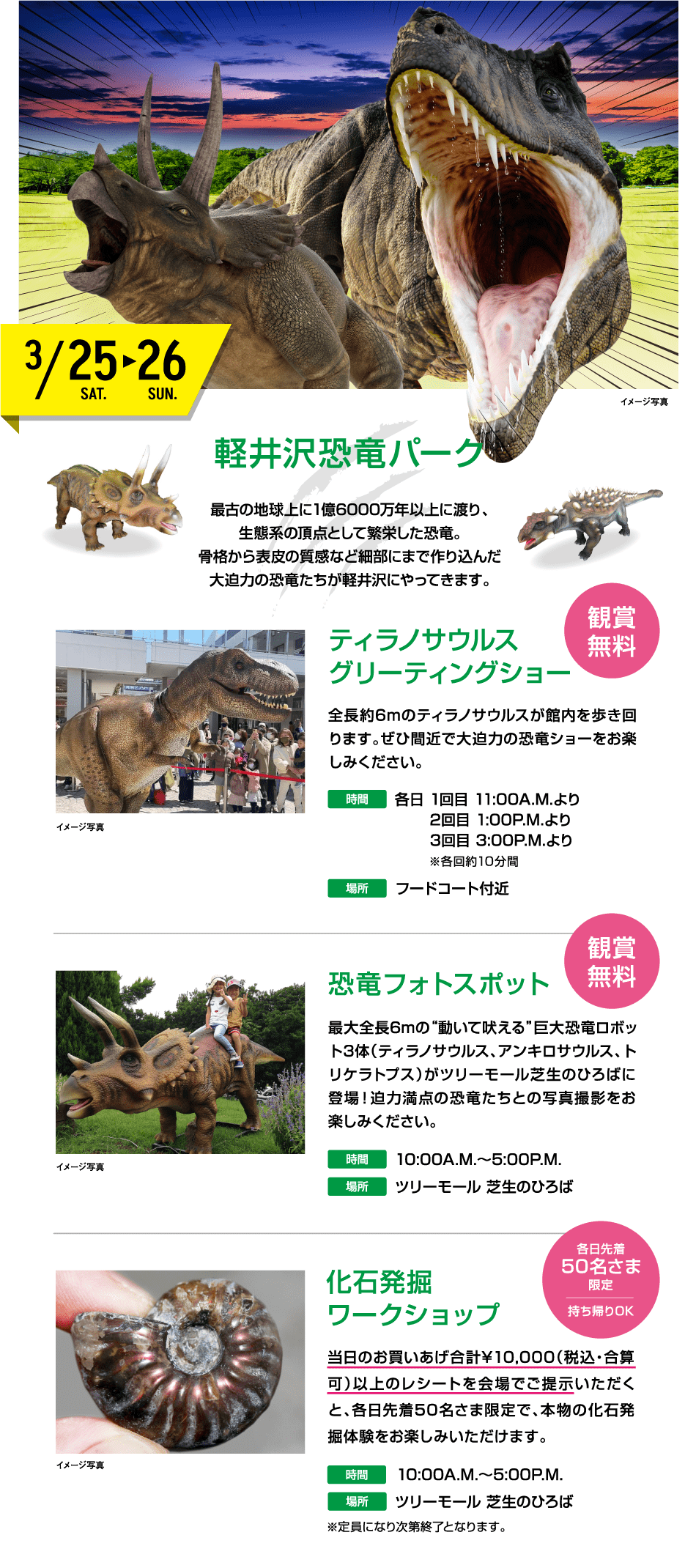 軽井沢恐竜パーク