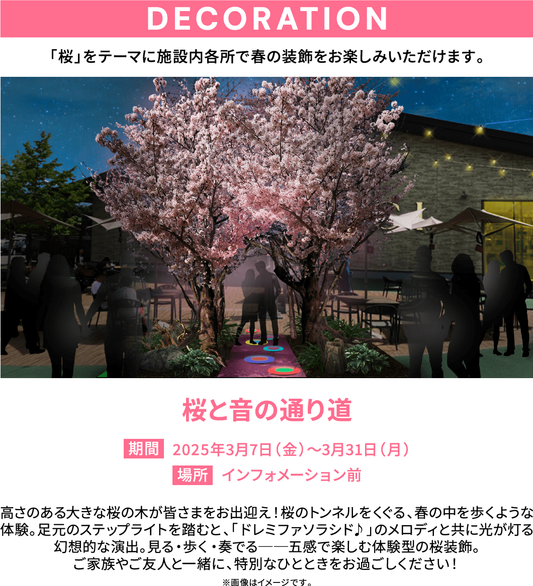 桜と音の通り道