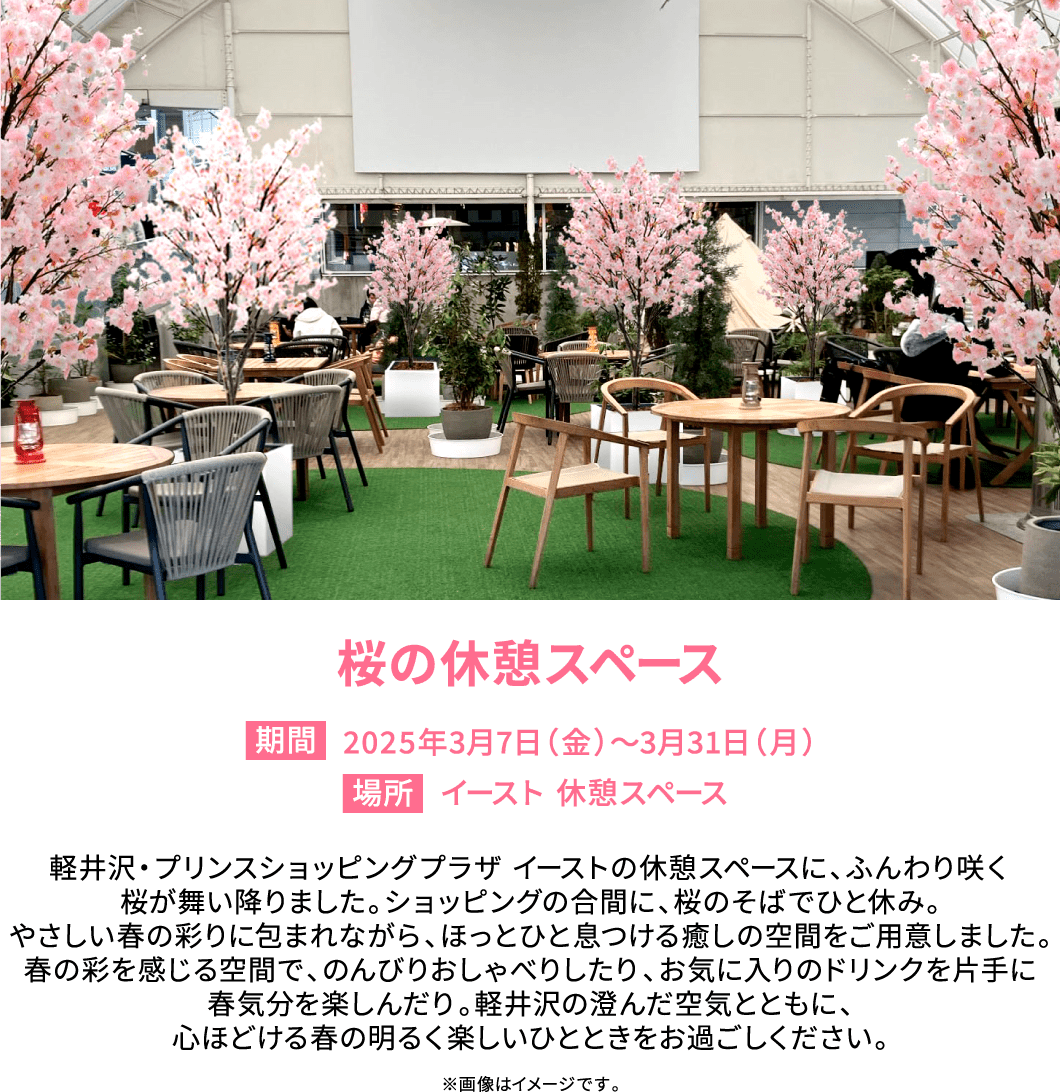 桜の休憩スペース
