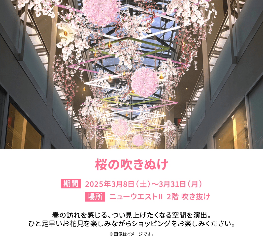 桜の吹きぬけ