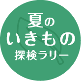 夏のいきもの探検ラリー