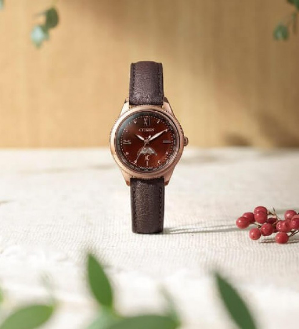 ｘC『daichi collection』