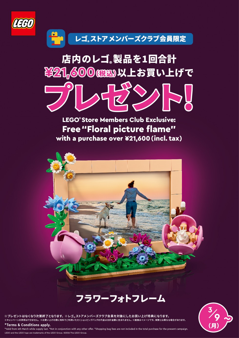 「フラワーフォトフレーム」ミニセット プレゼント＜レゴストアメンバーズクラブ会員限定＞