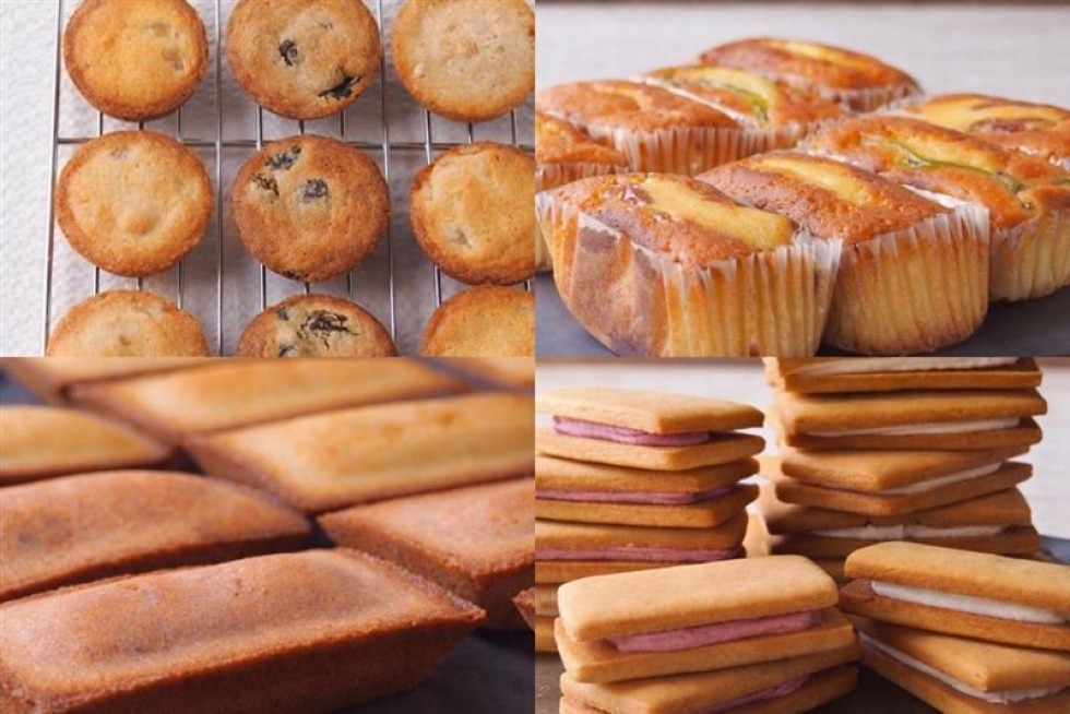 2026年4月21日（火）OPEN　スーベニアコート SC-02区画