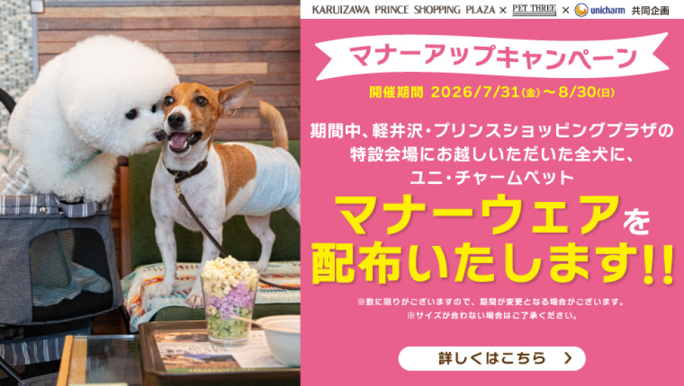 マナーアップキャンペーン開催！